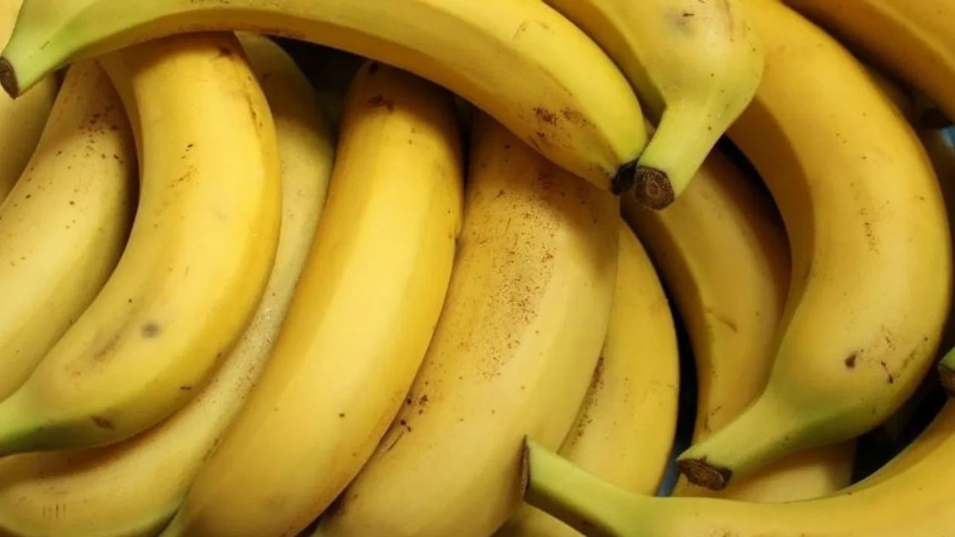 రోజుకు 2 అరటిపండ్లు చాలు.. గుండె నుంచి బరువు కంట్రోల్ వరకు శరీరంలో జరిగే అద్భుతాలు ఇవే..