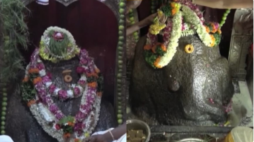 ఎవరూ ఛేదించలేని మిస్టరీ– ఏటా పెరిగే తొండం- చోడవరం గణపయ్య విశేషాలివే!