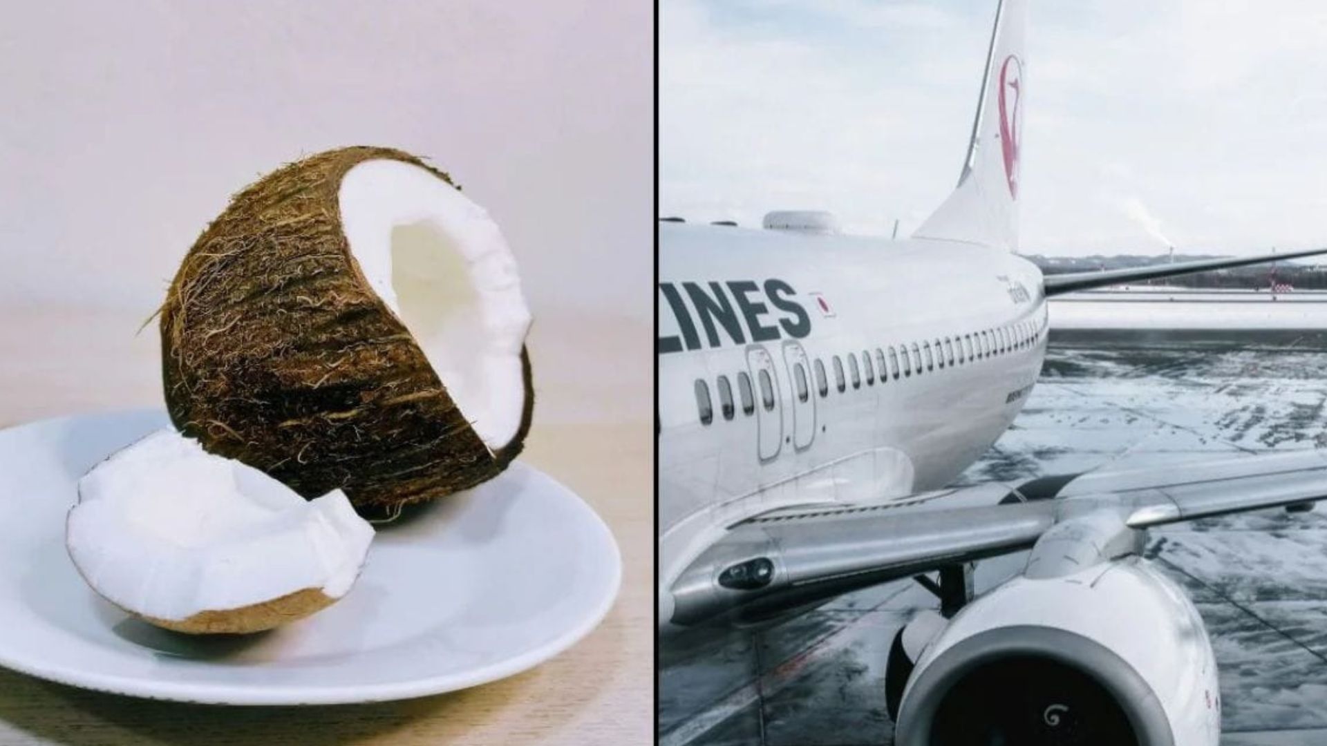 ఫ్లైట్ జర్నీలో కొబ్బరికాయతోపాటు ఈ 10 నిషిద్ధమని తెలుసా?
